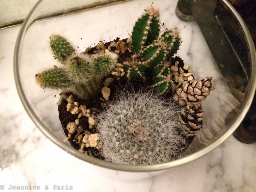 DIY-Terrarium-cactus-5