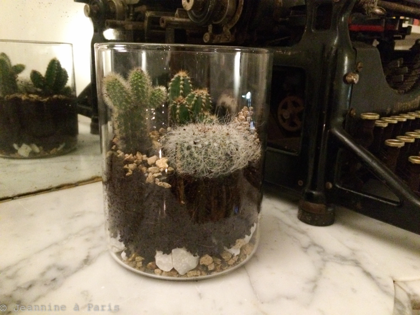 DIY-Terrarium-cactus-4